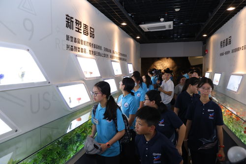 粵港澳大灣區(qū)禁毒文化交流活動(dòng)在深圳舉行，以文化藝術(shù)助力禁毒宣傳